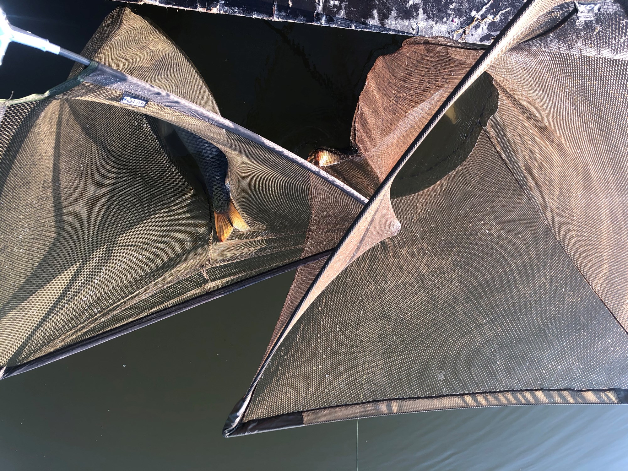 Tancabesti 22 - 25 iun. - Dublu drill